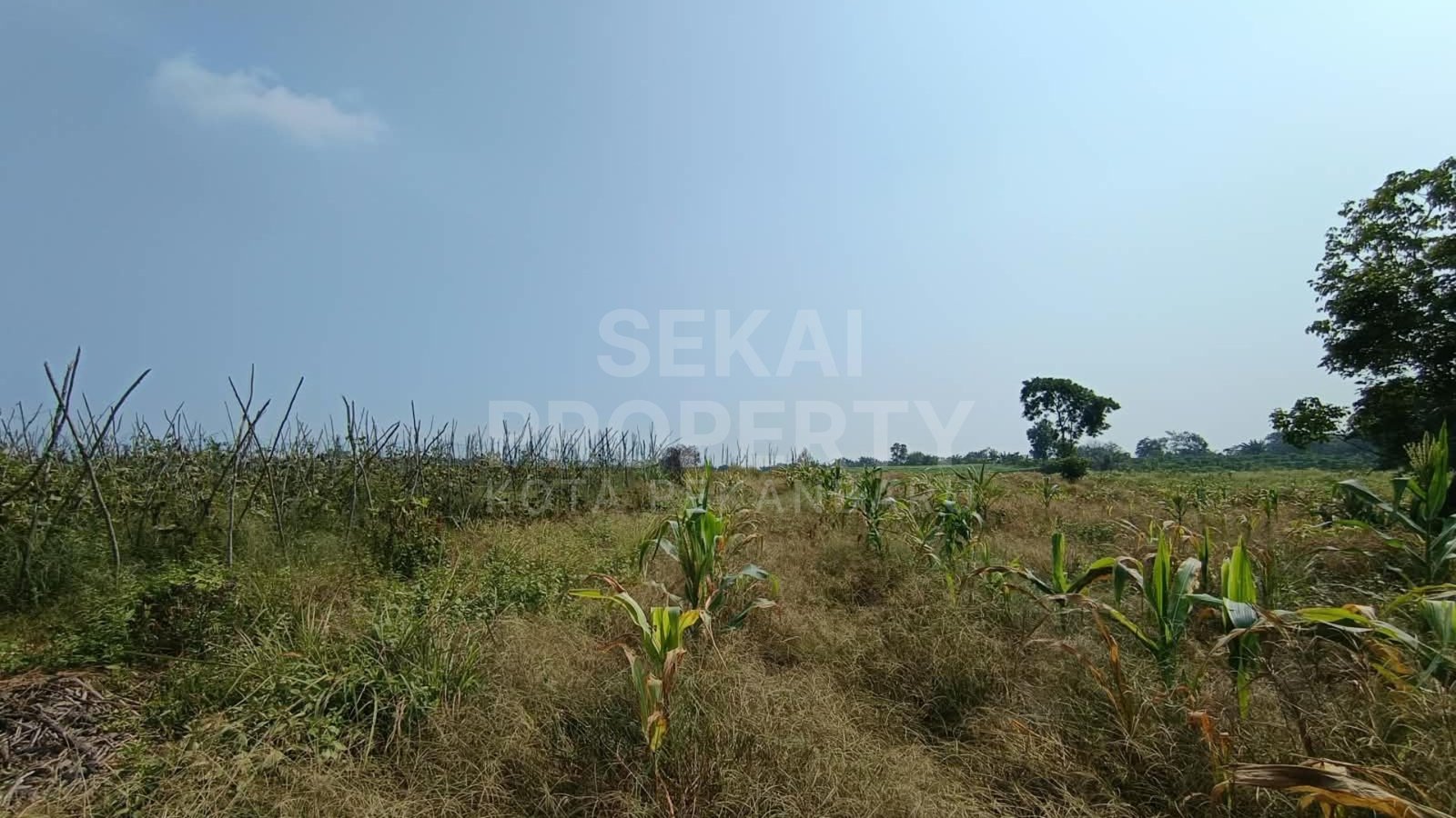Dijual Tanah 3 Kapling Di Garuda Sakti Km 6