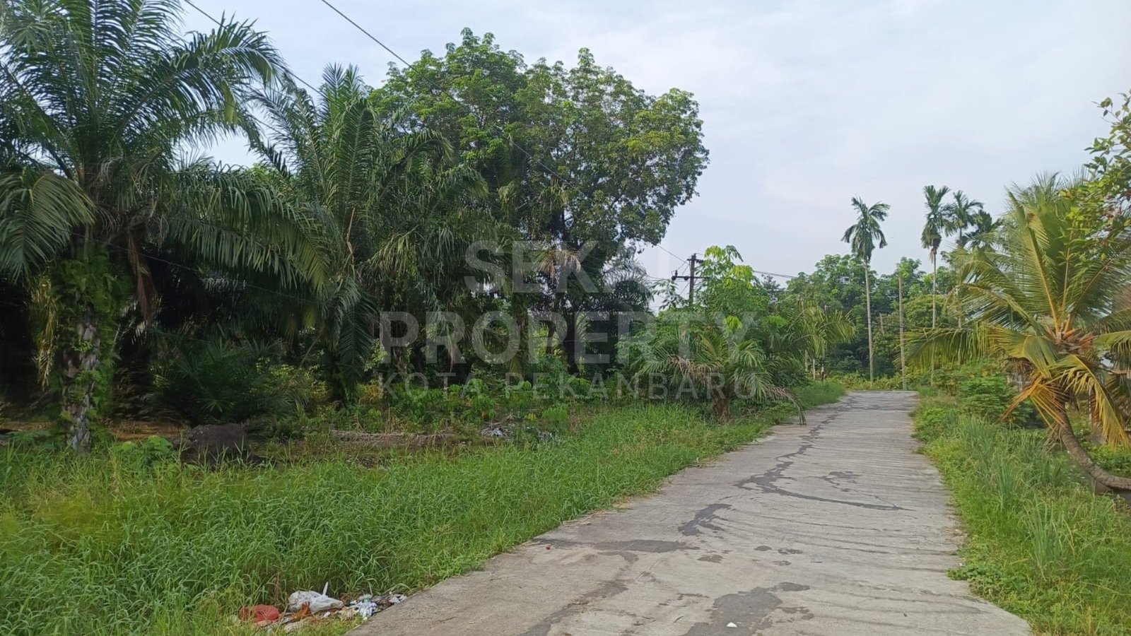 Dijual Sebidang Tanah Luas Lokasi Dekat Jalan Gulama-pekanbaru