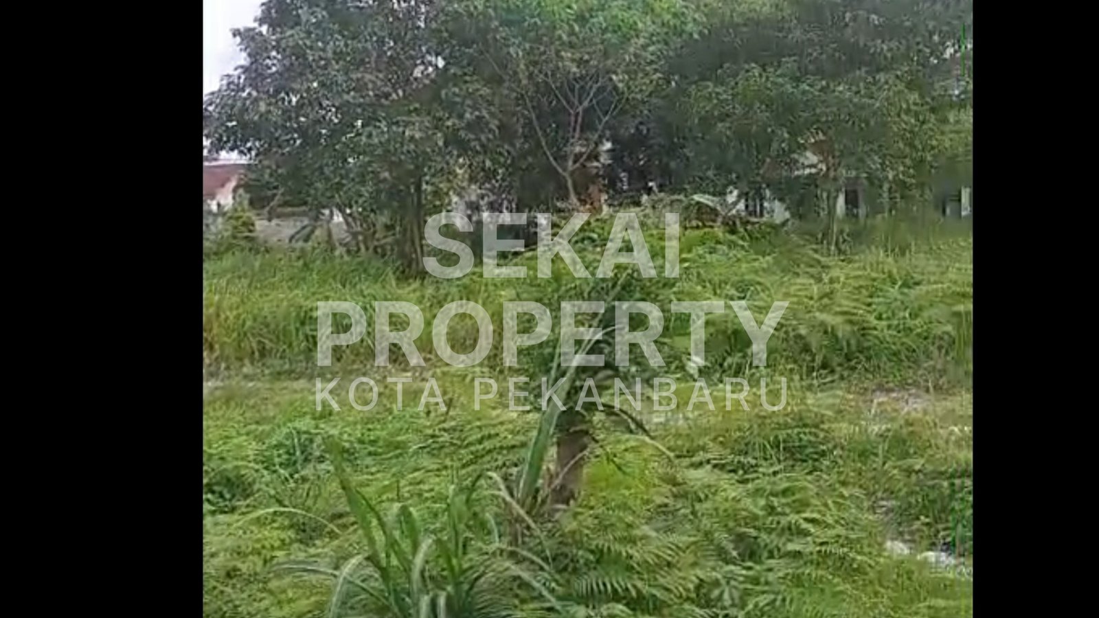 Dijual Tanah Jl.melur - Pelalawan