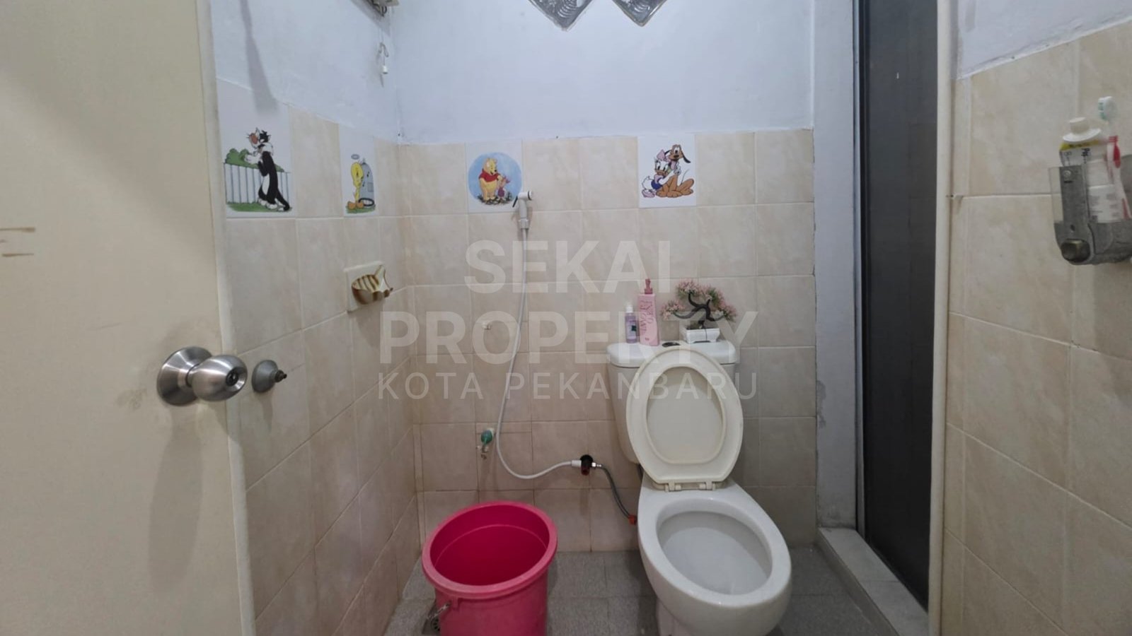 Foto 7