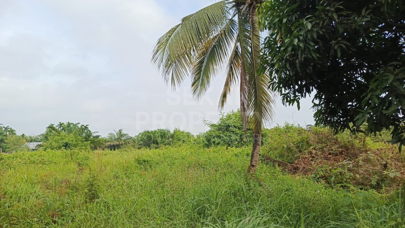 Dijual Tanah Kapling Jl. Sm Amin
