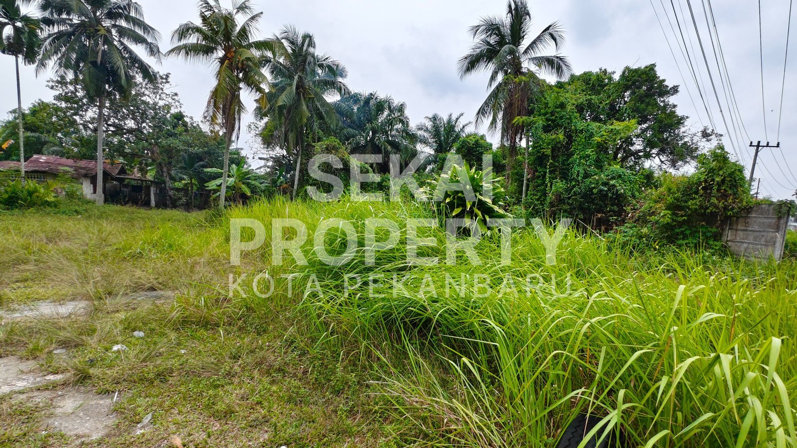 Dijual Tanah Di Jalan Pramuka