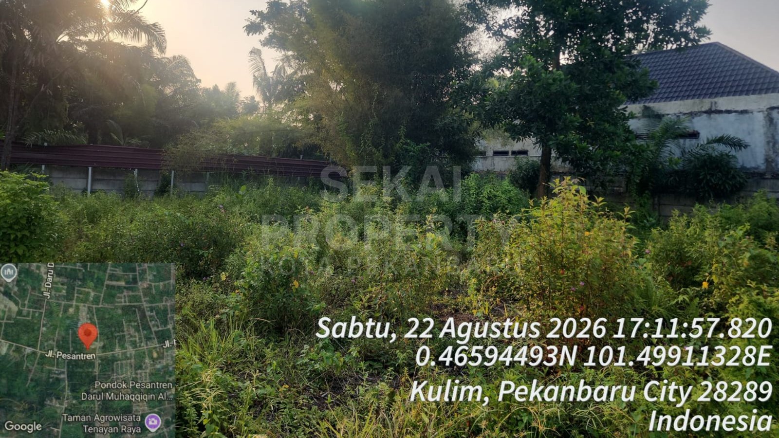 Lihat semua foto