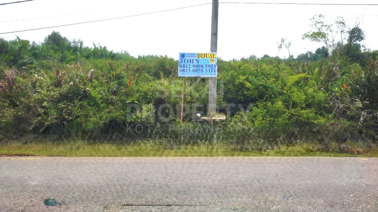 Dijual Tanah Luas 60 Ha Di Sungai Pakning - Perawang