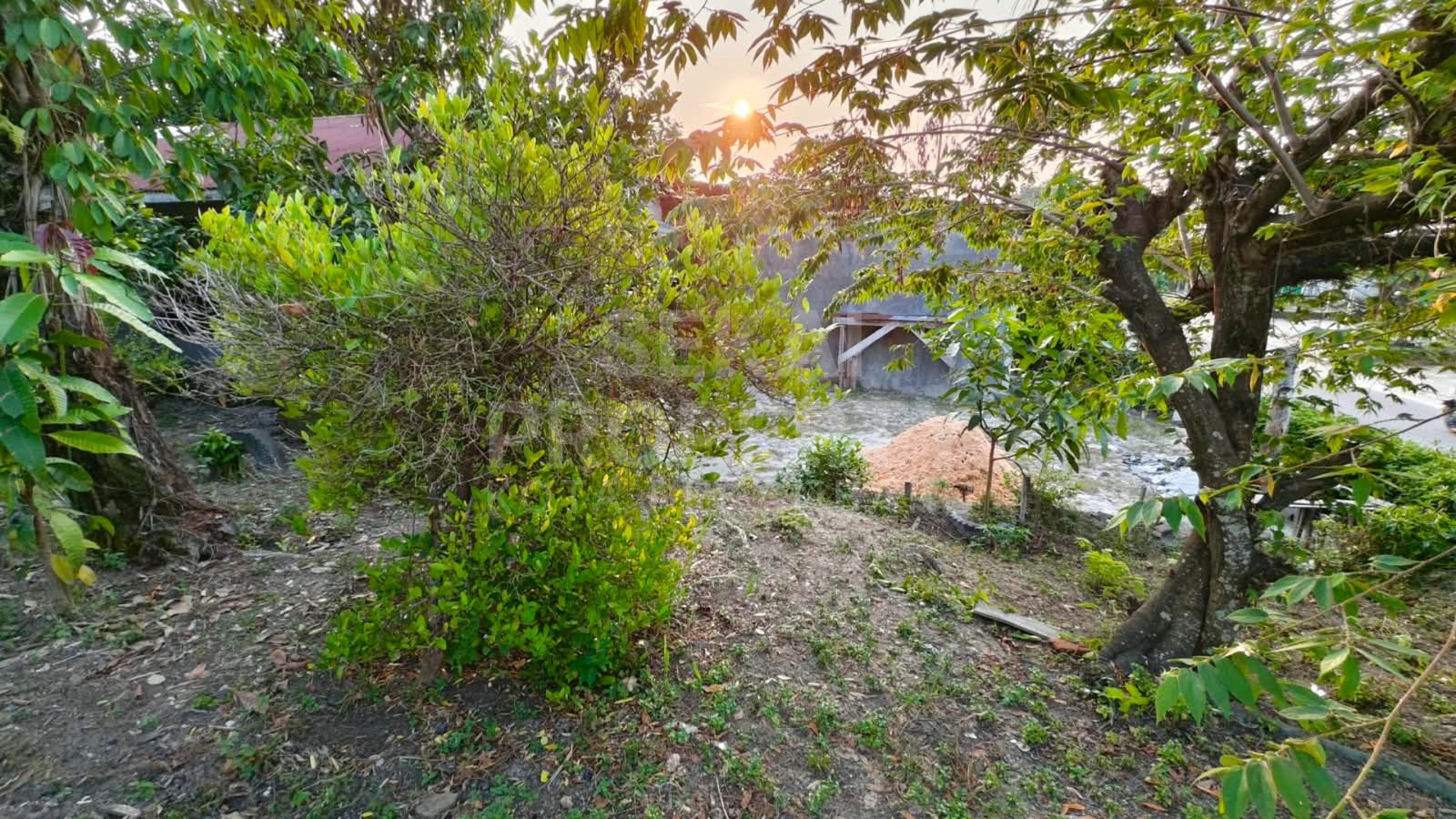 Dijual Tanah Jalan Kapau Sari