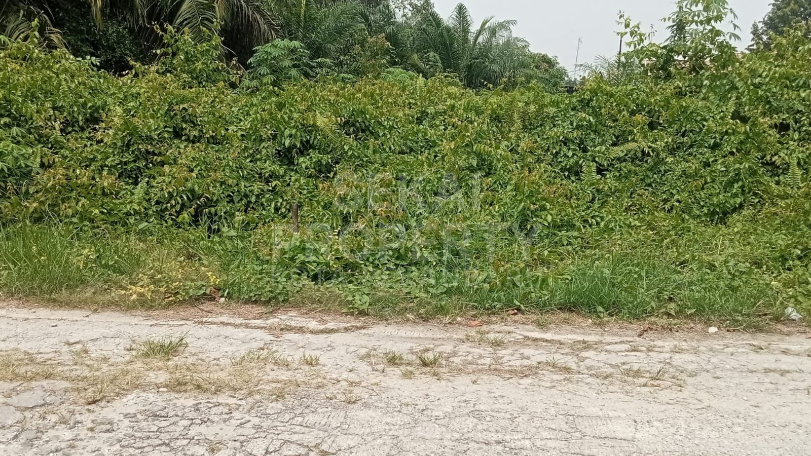 Di Jual Sebidang Tanah Di Jalan Suntai 1 Ujung, Payung Sekaki, Pekanbaru