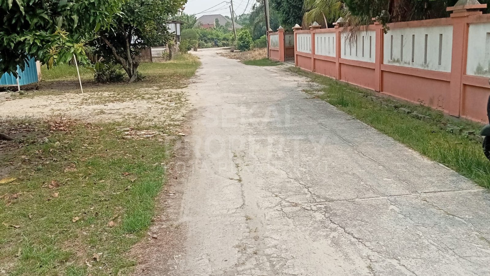 Lihat semua foto