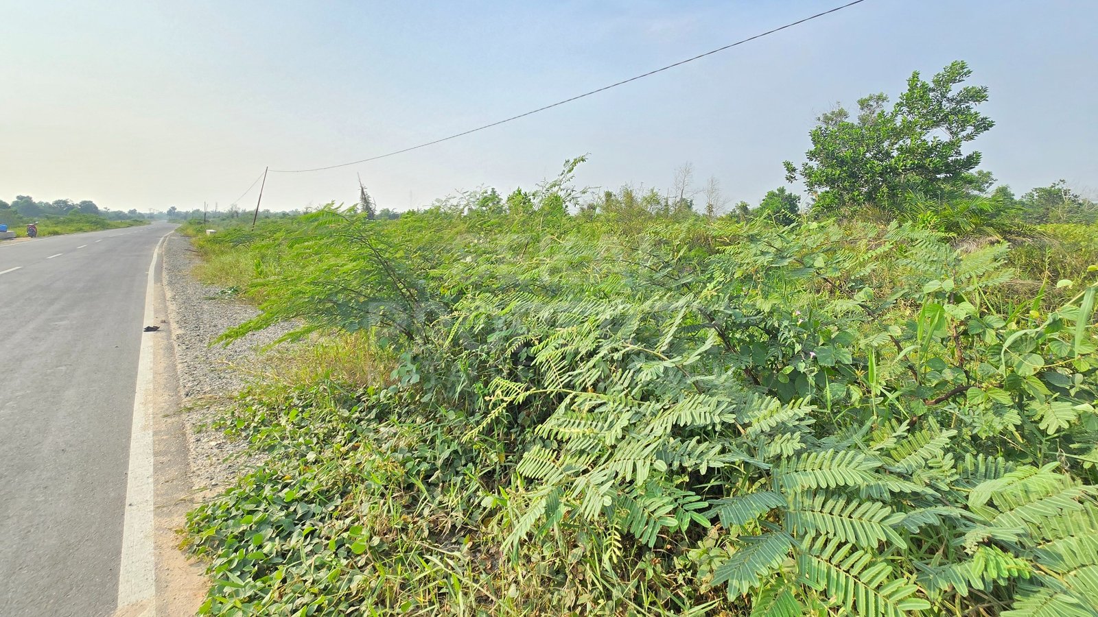 DIJUAL/DISEWAKAN SEBIDANG TANAH LOKASI DI RIAU BARU-PEKANBARU